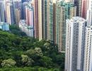 Bất động sản Hồng Kông bước vào cơn sốt mới