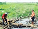 Tung tin huyện lên quận đất vùng ven tăng khủng