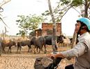 Giá đất Củ Chi bình tĩnh với siêu dự án của 'chúa đảo' Tuần Châu