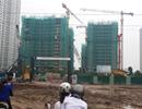 Hàng ngàn doanh nghiệp mới “nhảy vào” bất động sản