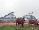 Tiền đâu làm siêu đô thị 15.000 ha?