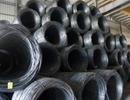 Ngăn chặn gian lận thương mại trong nhập khẩu thép