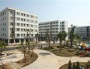 Nhà giá rẻ - không phải xây đâu cũng được