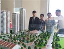 Giao dịch bất động sản 2 tháng đầu năm giảm mạnh