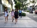 TTTM ngầm là dự án thí điểm