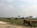 Dân Sài Gòn từng ngày chờ thoát nạn quy hoạch ‘treo’
