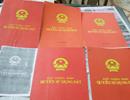 Cấp sổ đỏ: Hà Nội áp dụng Nghị định 01/2017, không chờ thông tư