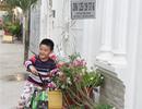 Khóc, cười chuyện... số nhà!