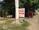 Ngóng dự án, đồn quy hoạch, dân đầu cơ đổ xô mua đất vườn Củ Chi