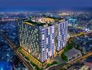 Sẽ đưa loại hình căn hộ-văn phòng vào vòng kiểm soát