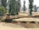 Đốn 100ha rừng phòng hộ làm sân golf đón thi hoa hậu