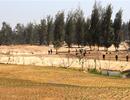 Dự án đốn 100 hecta rừng làm sân golf ở Phú Yên được ưu ái ra sao?
