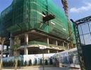 Chỉ cần biết điều này, khách mua nhà sẽ không lo bị sập bẫy lừa