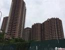 Căn hộ 25 m2 thách thức thị trường