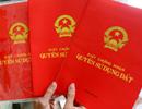 Cuối năm 2017 hoàn thành cấp giấy chứng nhận nhà đất ở TP.HCM