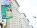 Bất động sản thiếu kênh thông tin minh bạch