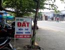 30 công ty bất động sản dồn về Nhơn Trạch