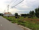 Vị đắng sau cơn sốt đất tại Bình Dương