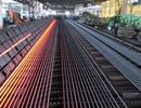 Giá thép tăng kéo chi ngoại tệ nhập khẩu thép tăng hơn 1 tỷ USD