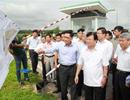 Hơn 1 tỉ USD cho mặt bằng sân bay Long Thành
