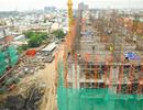 Chọn vật liệu xây dựng “có lợi” thời bão giá
