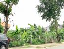 Biến đất công viên thành chung cư