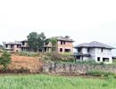 Nhiễu thông tin sốt đất tại Yên Bài, Ba Vì