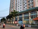 Dài cổ chờ giấy chủ quyền