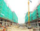 Thị trường bất động sản TP Hồ Chí Minh: Sự trở lại của... giá trị thật