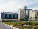 Vốn đầu tư rót vào KCN, KKT tăng mạnh