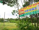 Giá đất vùng quy hoạch Sân bay Long Thành tăng chóng mặt
