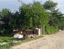 Đầu cơ đất quy hoạch
