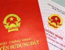 TP.HCM: Chậm cấp sổ hồng phải xin lỗi người nước ngoài