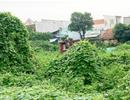 Thêm phiền hà trong thủ tục cấp phép xây dựng