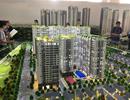 Nhiều doanh nghiệp bất động sản nợ thuế