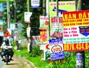 Ồ ạt phân lô bán đất nền quanh sân bay quốc tế Long Thành
