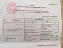 Từ 1-8, TP.HCM điều chỉnh giá đất ở nhiều quận