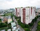 Nhiều ‘ông lớn’ bất động sản TP.HCM nợ thuế hàng trăm tỷ đồng