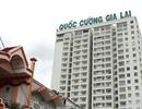 Công ty của Cường Đô La báo lãi gấp 8 lần