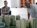Khách hàng châu Á tăng mua nhà ở Việt Nam