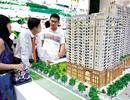 Số phận "đất vàng"