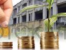 Chủ đầu tư nợ thuế, người mua nhà không bị ảnh hưởng