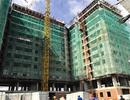 Khan hiếm nguồn cung căn hộ giá rẻ