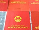 Cấp sổ đỏ cho đất chuyển nhượng giấy tay giai đoạn từ 1.7.2004 - 1.1.2008