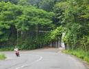 137 biệt thự trong Khu Bảo tồn thiên nhiên Sơn Trà: "Tối mật" hay mặt tối của một toan tính 137 biệt thự trong Khu Bảo tồn thiên nhiên Sơn Trà: "Tối mật" hay mặt tối của một toan tính