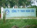 8 khu 'đất vàng' ở TPHCM của Hoàn Cầu bị siết nợ