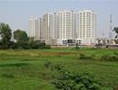 TPHCM: Kiến nghị chuyển mục đích sử dụng hơn 3.600ha đất