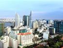 'Cò đất' trục lợi tách thửa sẽ bị xử lý hình sự