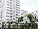 Căn hộ bình dân vẫn chiếm tỷ lệ thấp trong 10 tháng đầu năm