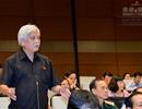 Sân bay Long Thành: Không để “đầu chuột, đuôi voi”